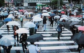 通勤雨