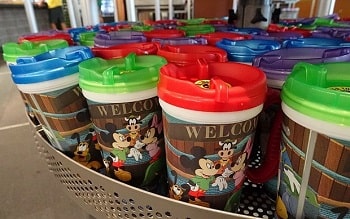 WDWリフィルマグ