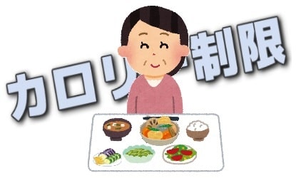 カロリー制限
