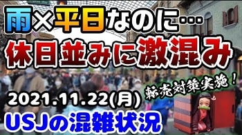 猫沢さんちのUSJ散歩